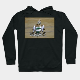 Let Glasgow Flourish! Hoodie